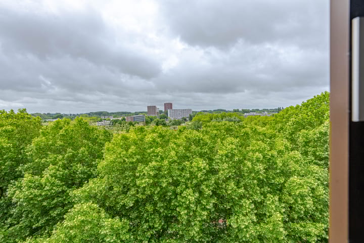 Foto 18 van Oldegaarde 824