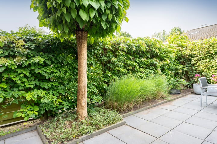 Foto 30 van Snippenveld 18