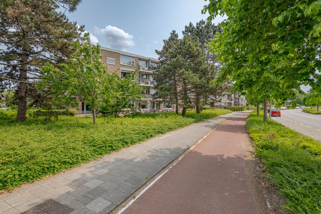 Foto 37 van Burgemeester de Zeeuwstraat 372