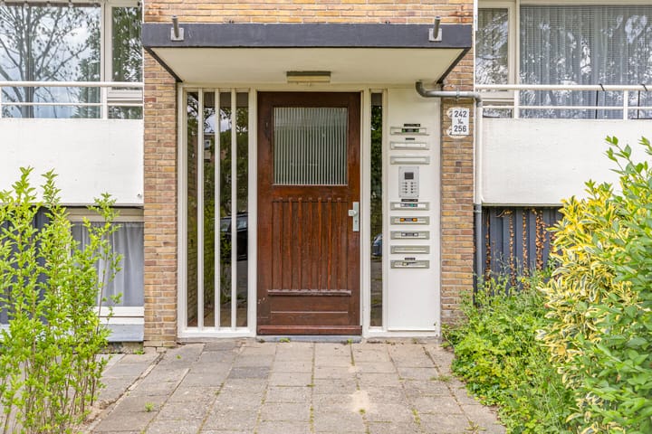 Foto 5 van Hora Siccamasingel 254