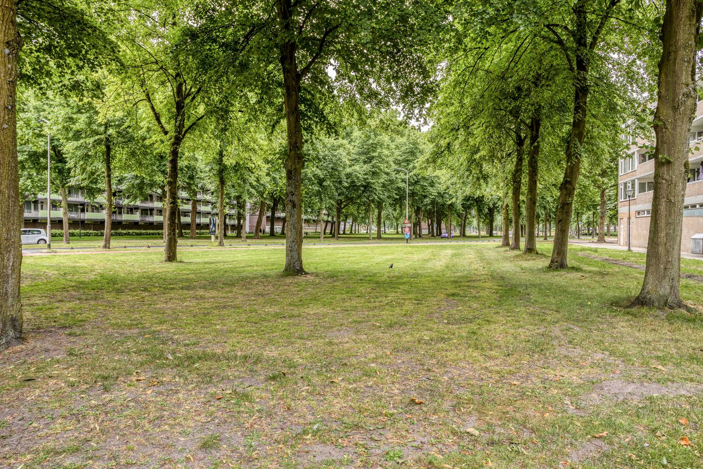 Foto 29 van Moerwijk 63-C