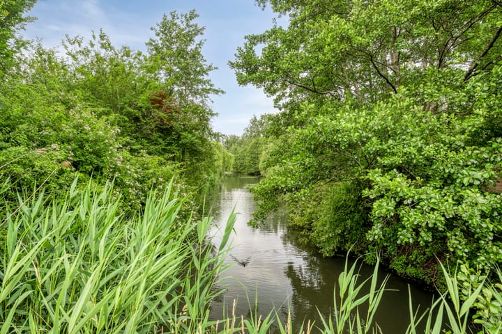 Foto 34 van Ronhaarstraat 49