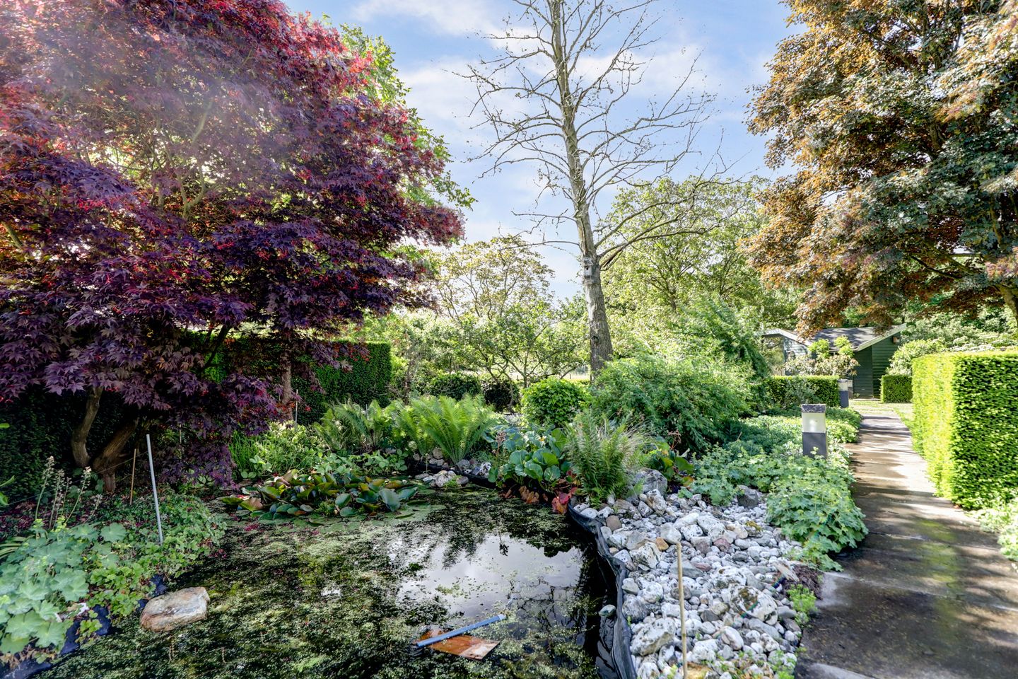 Foto 59 van Nachtegaal 27