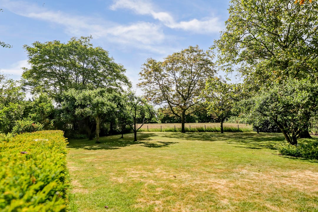 Foto 62 van Nachtegaal 27