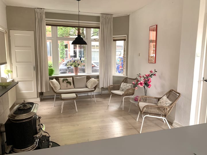 Foto 7 van Professor Rankestraat 49