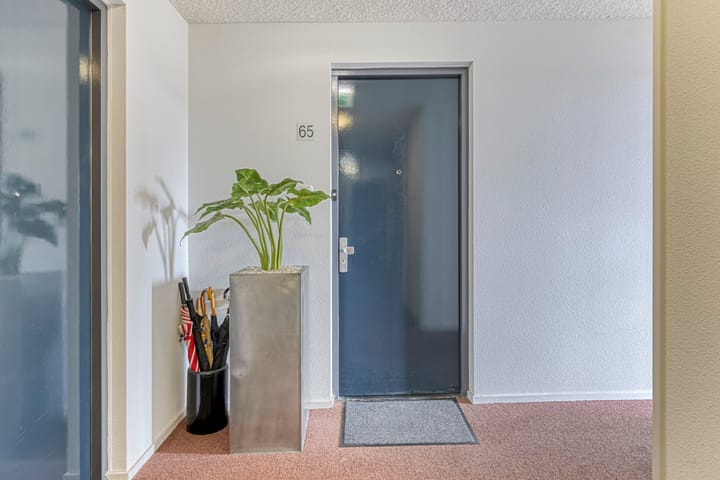 Foto 7 van Platehaven 65