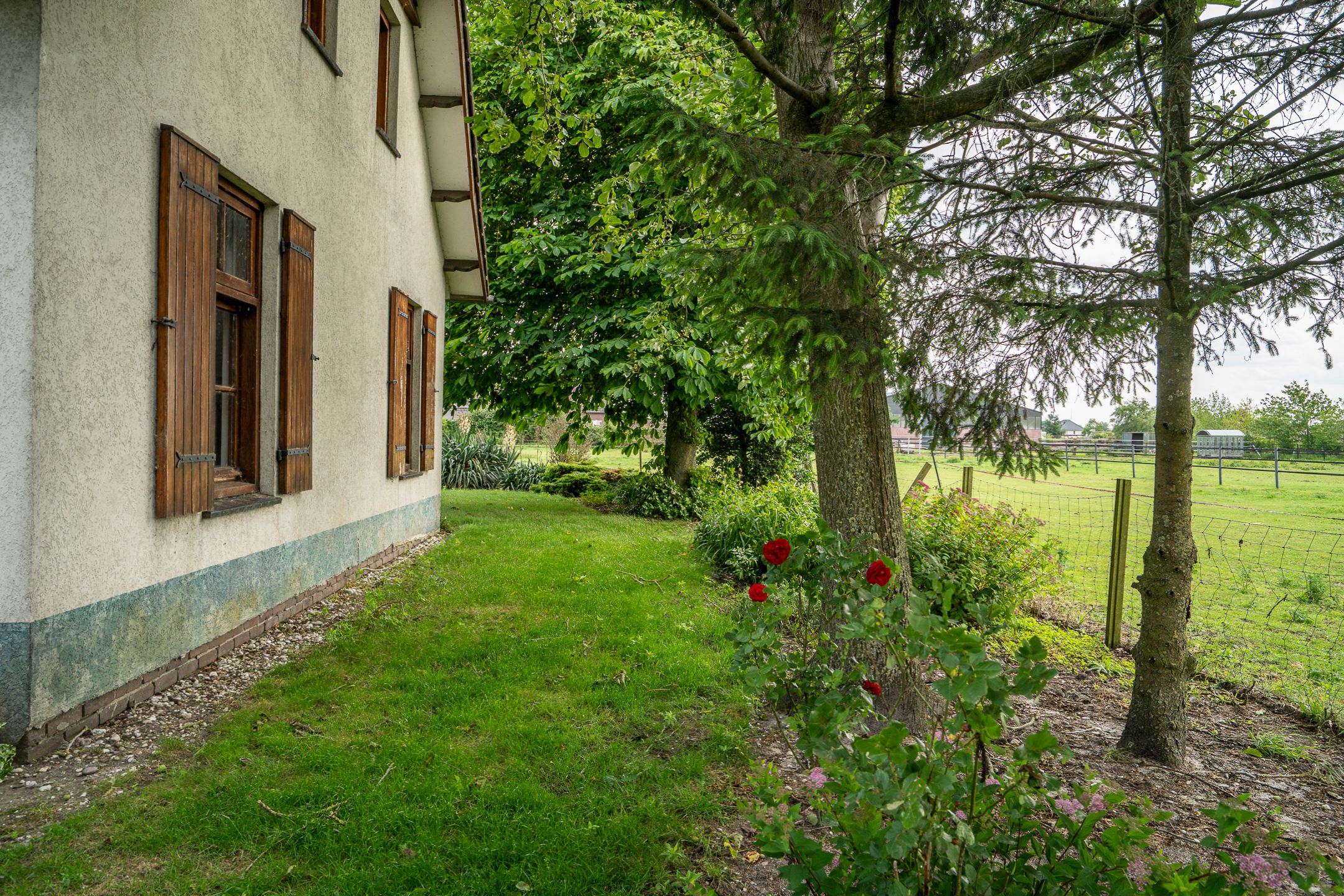 Photo 6 of Braamweg 11