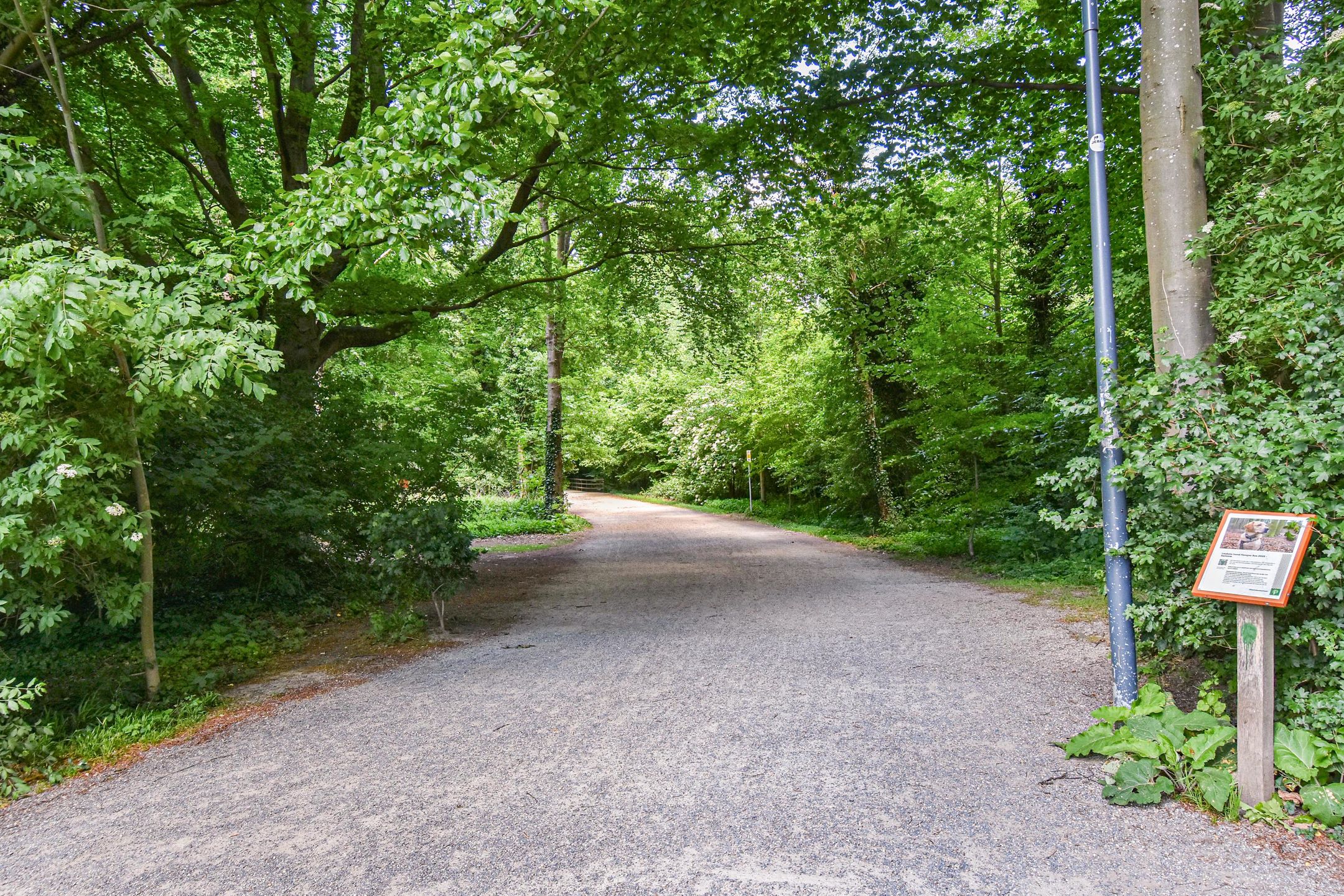 Foto 24 van Boslaan 351