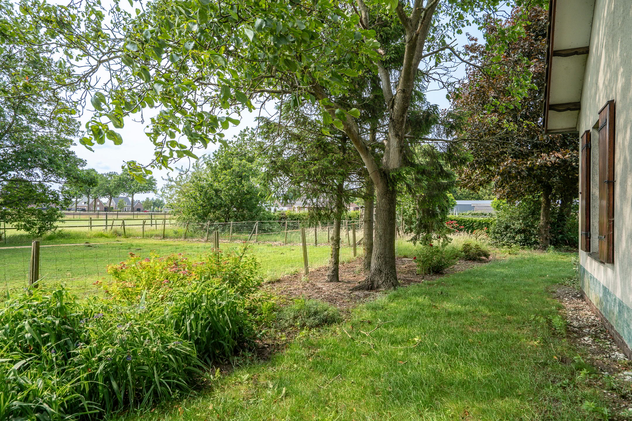 Photo 60 of Braamweg 11