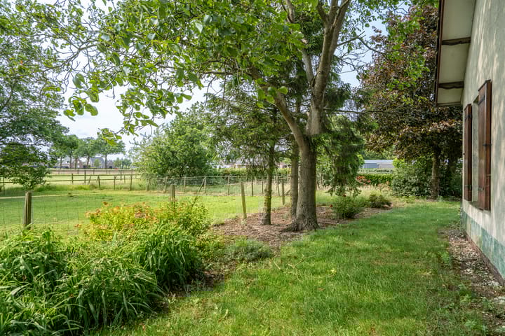 Foto 60 van Braamweg 11