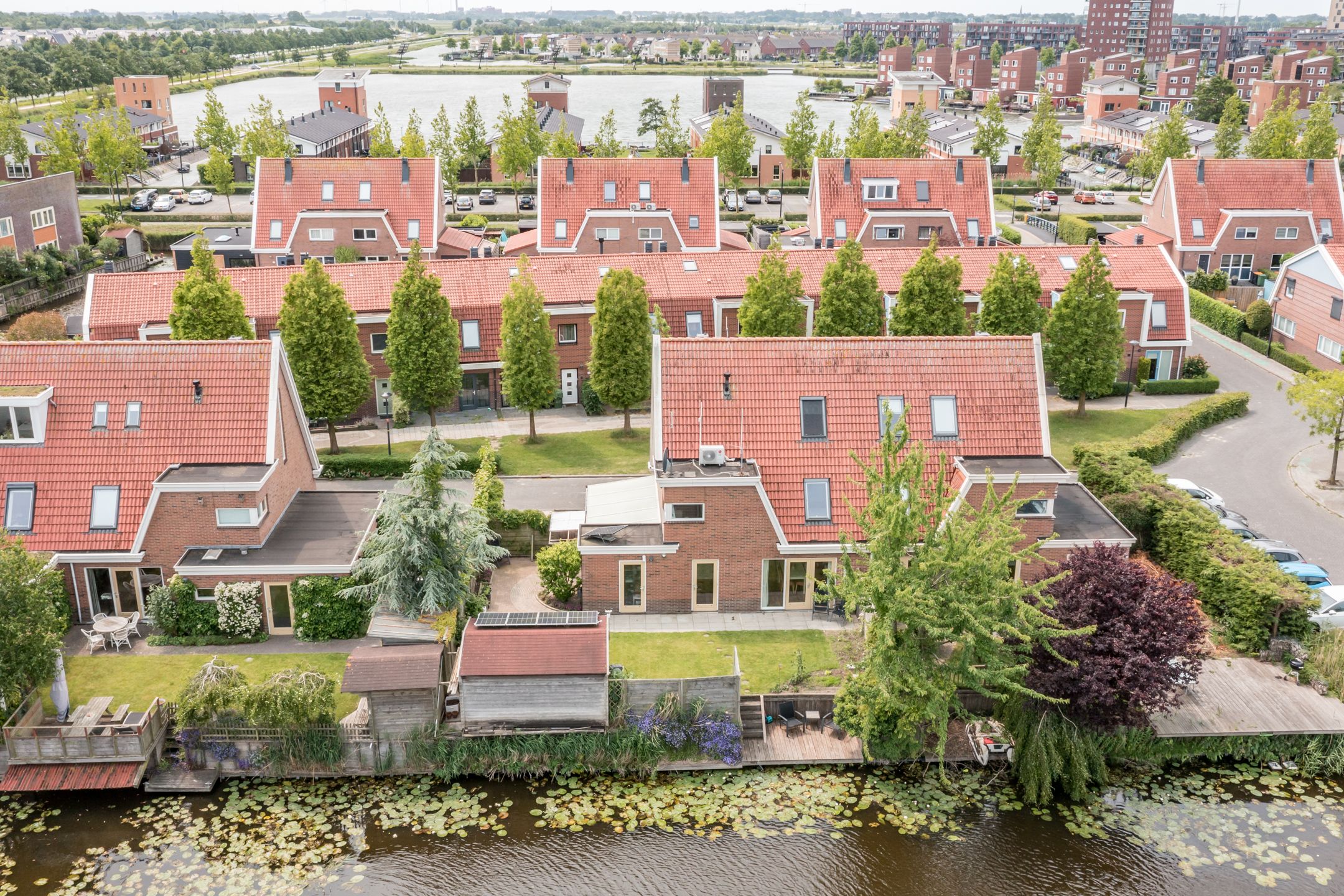 Photo 42 of Neeltje Lokerseland 42