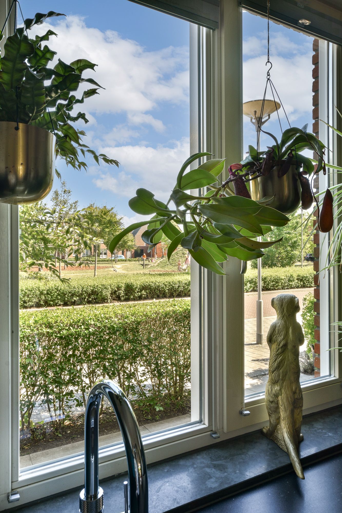 Foto 19 van Concordia 5