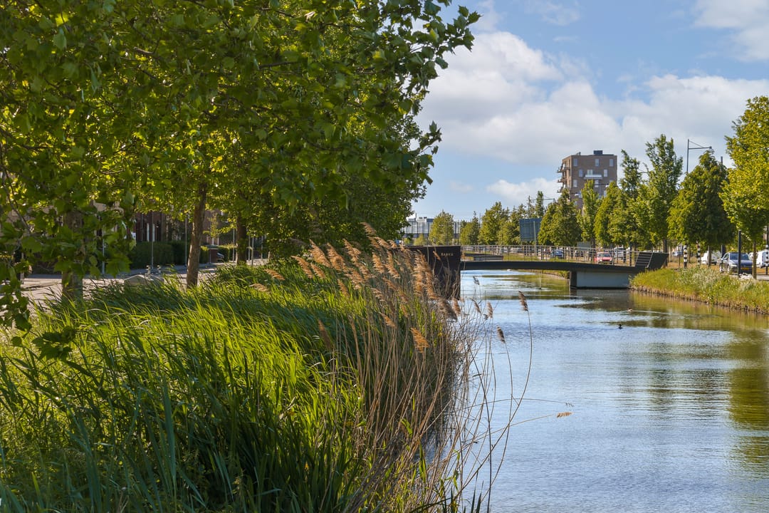 Foto 41 van Concordia 5