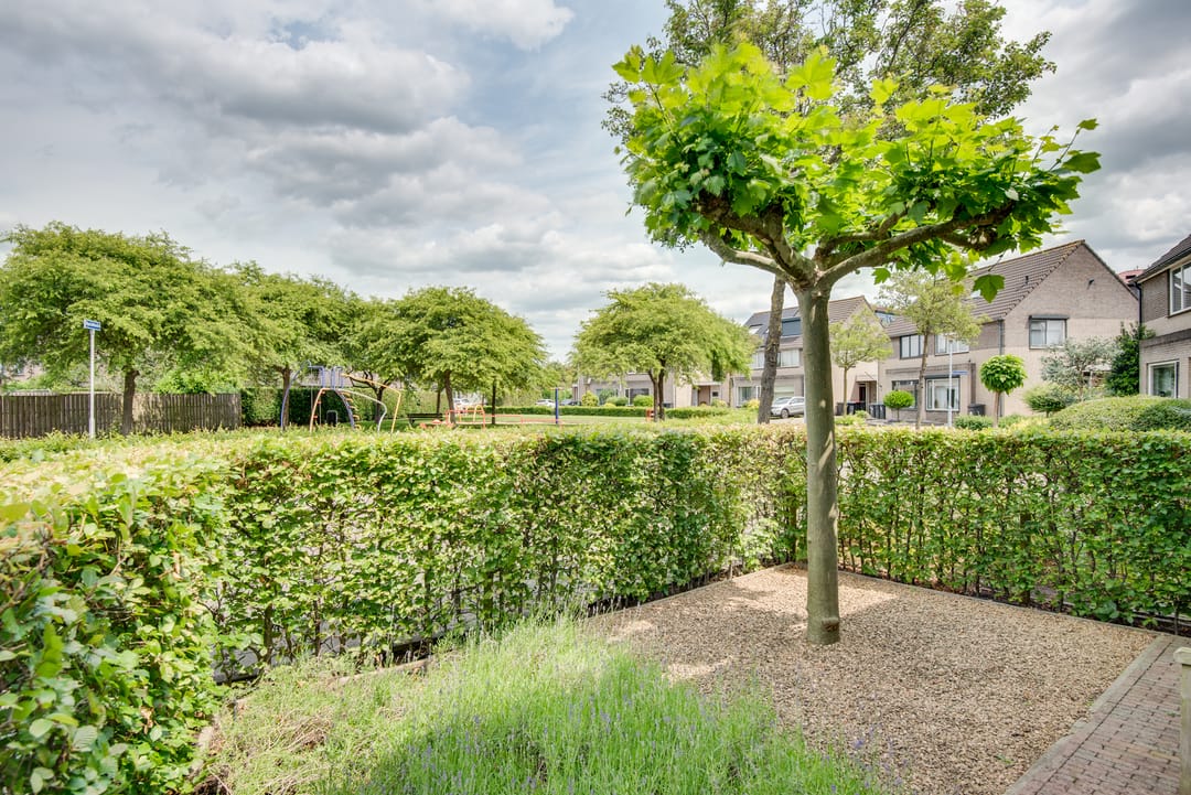 Foto 53 van Dahliavallei 52