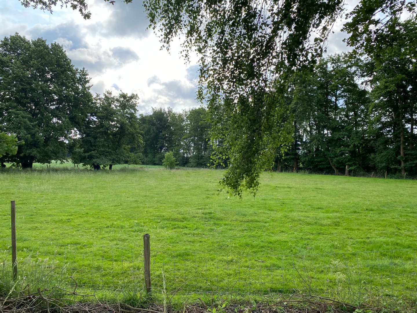 Bekijk foto 5 van Peelkensstraat