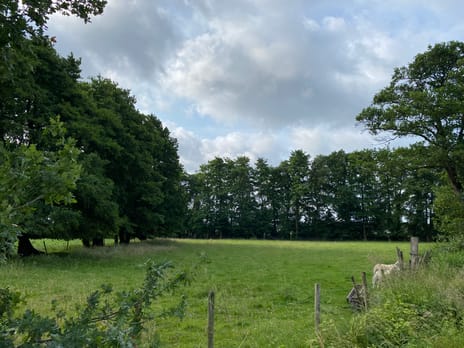 Bekijk foto's