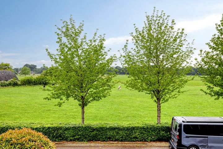 Foto 32 van Papaverhof 43