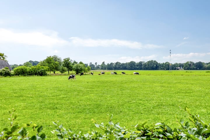 Foto 33 van Papaverhof 43