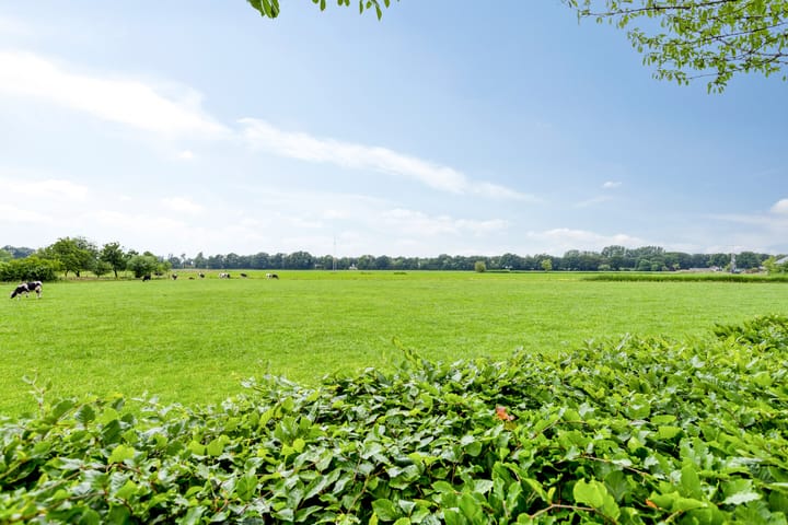 Foto 34 van Papaverhof 43