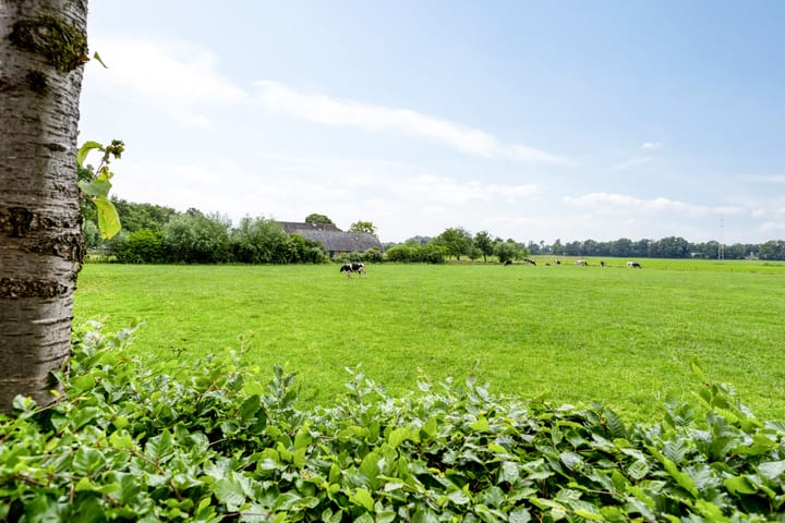 Foto 35 van Papaverhof 43