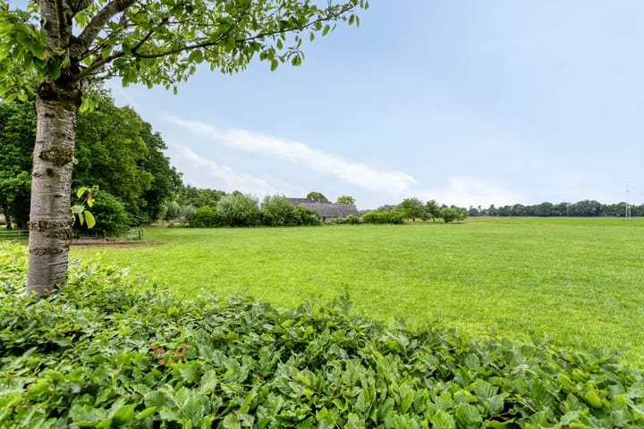 Foto 37 van Papaverhof 43