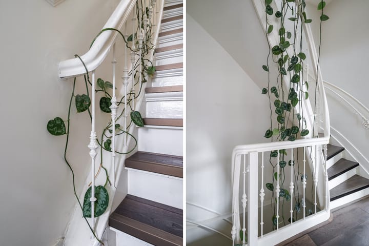 Photo 30 of Proveniersstraat 40-B