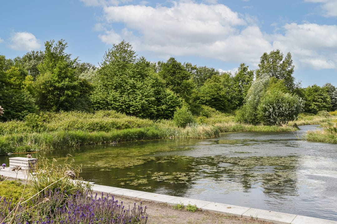 Foto 38 van Fanny Blankers-Koenlaan 30