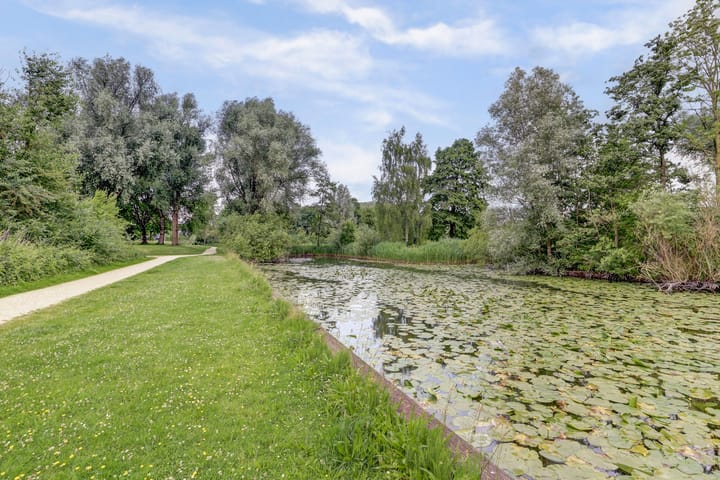 Photo 37 of Vuurvlinderberm 8