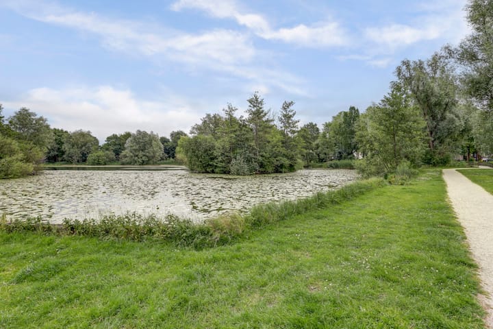 Photo 38 of Vuurvlinderberm 8