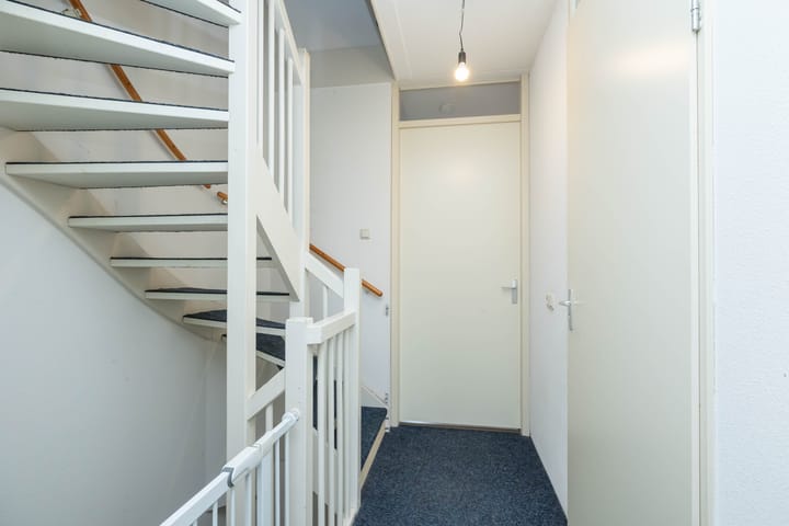 Foto 19 van Keizersmantel 50