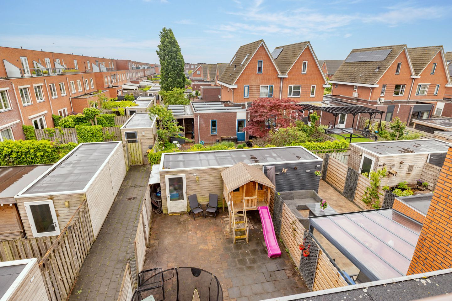 Foto 40 van Keizersmantel 50