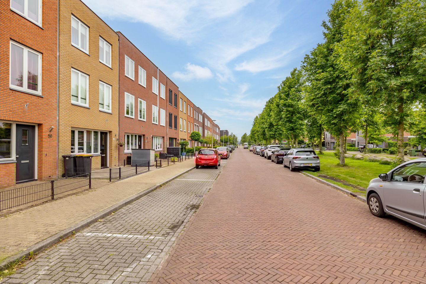 Foto 49 van Keizersmantel 50