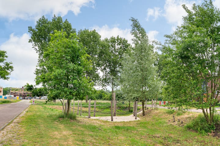 Photo 35 of Tongelreep 3