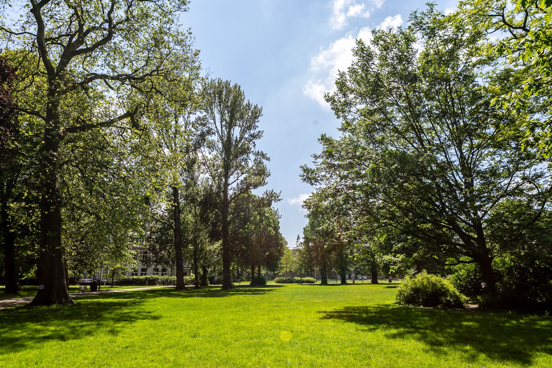 Foto 33 van Bloemhofstraat 16-D