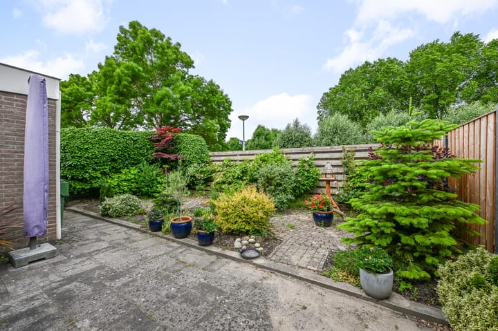 Foto 27 van Suze Groenewegstraat 59