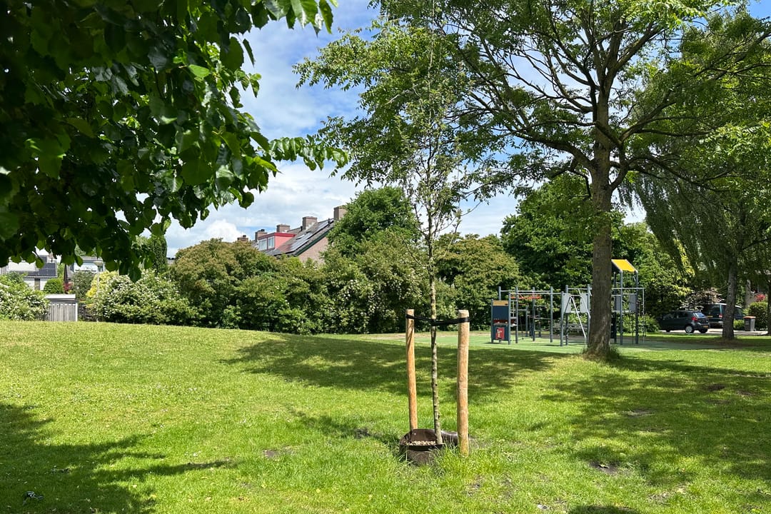 Photo 47 of Ronhaarstraat 32