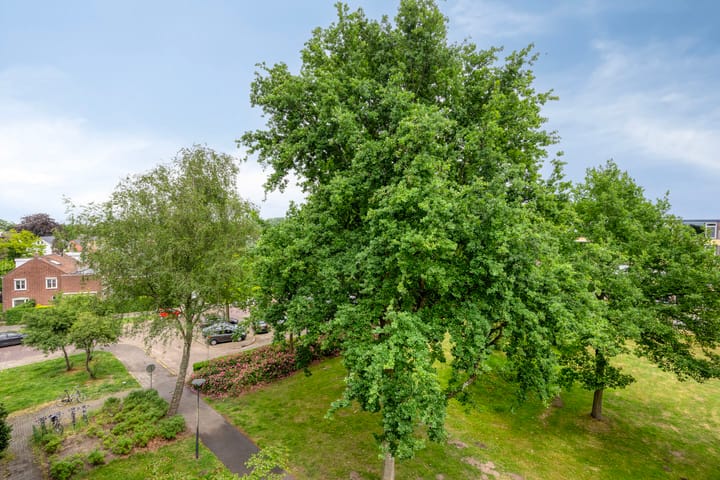 Foto 21 van Hertogenlaan 62