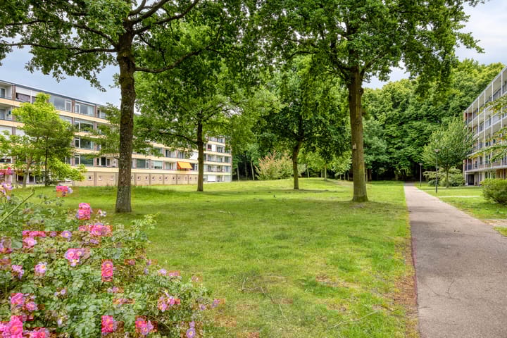 Foto 23 van Hertogenlaan 62