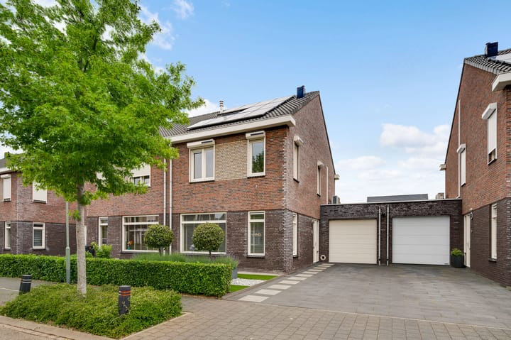 Foto 1 van Groene Specht 6