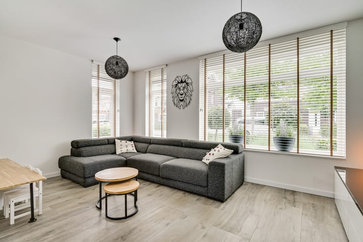 Foto 5 van Groene Specht 6