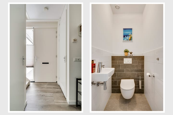 Foto 10 van Groene Specht 6