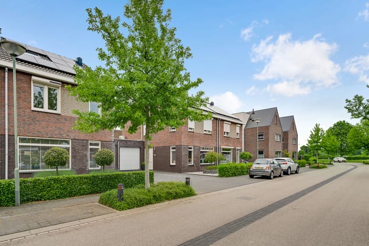 Foto 19 van Groene Specht 6