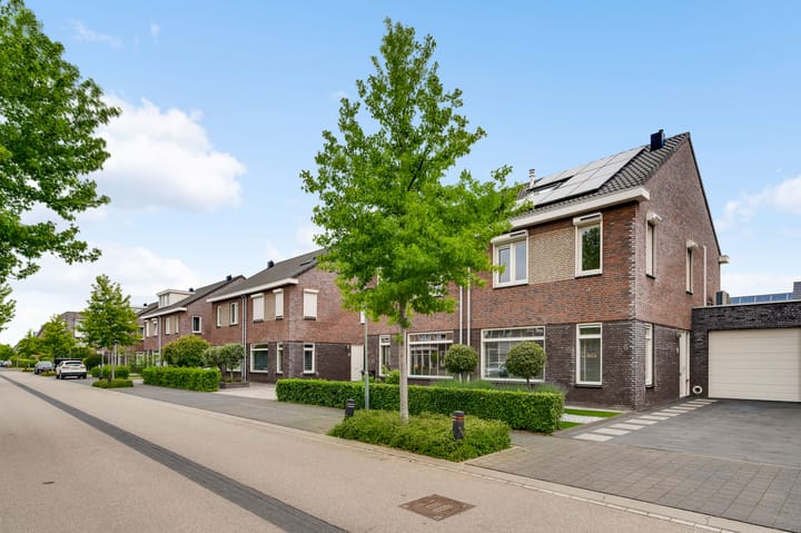 Foto 20 van Groene Specht 6