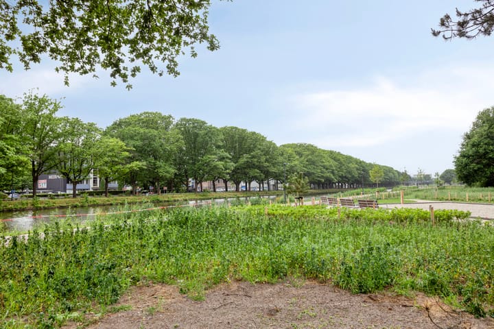 Foto 25 van Loevensteinlaan 20