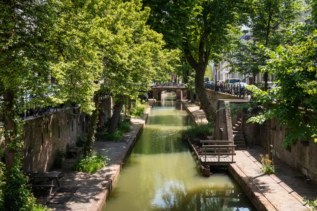 Photo 56 of Brigittenstraat 3-D