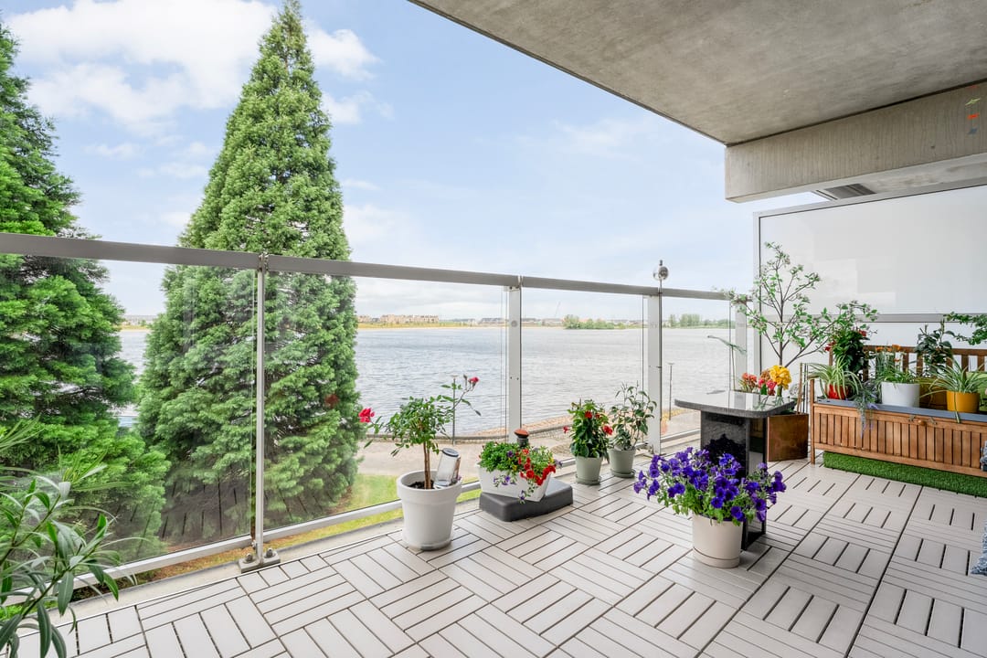 Foto 16 van Sterrenkroos 135