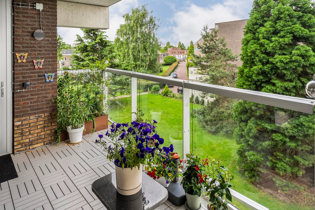 Foto 17 van Sterrenkroos 135