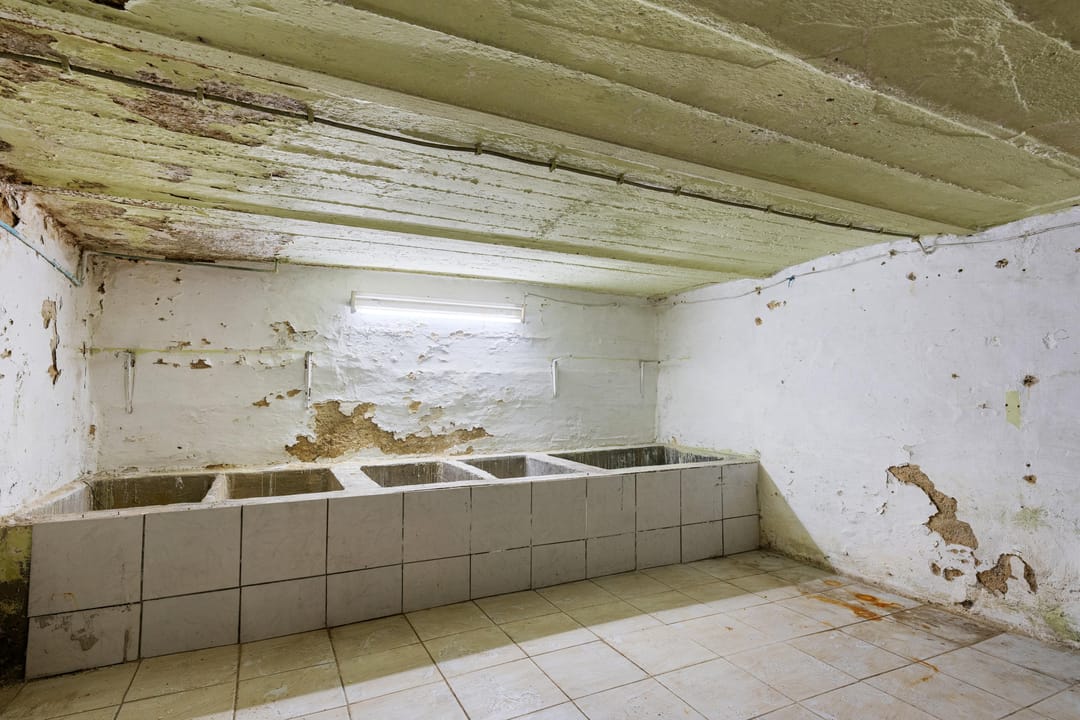 Foto 26 van Burg. Lemmensstraat 224