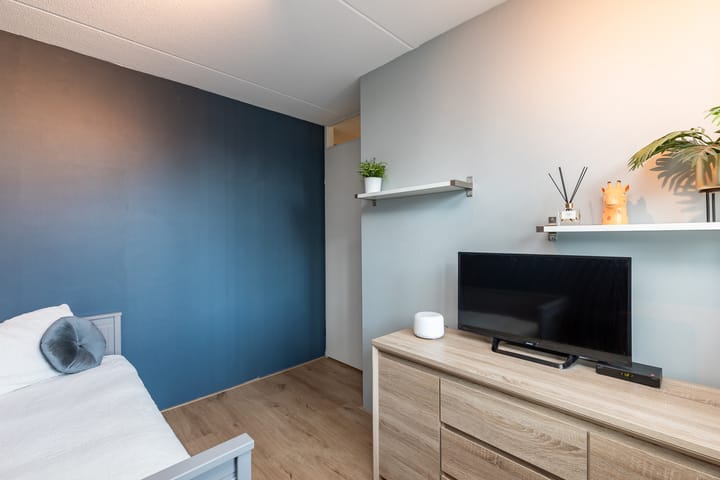 Foto 59 van Lev Landaustraat 10