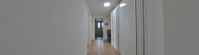 hal